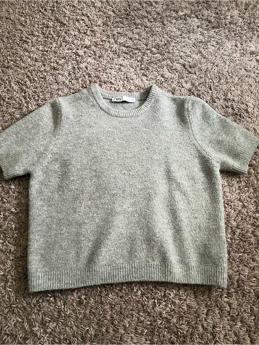 ZARA Short Sleeve Crew Sweater in Light Gray